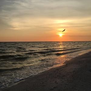 Meet your Posher, Tim n